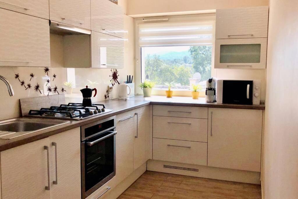 Mieszkanko W Cieplicach Jelenia Gora Dış mekan fotoğraf